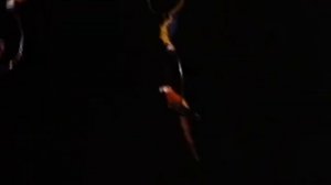 Гастроли Советского цирка в Парагвае (1990)