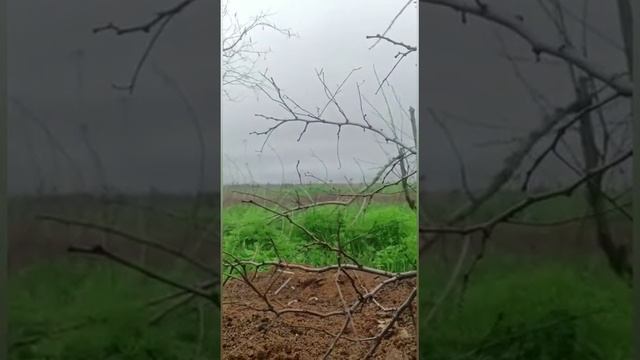 Штурмовики 71Полк "Шторм"
Якудза на связи, работаем.