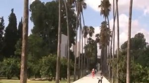 Израиль.  Хадера : эвкалиптовый путь. ПРОГУЛКИ ПО ИЗРАИЛЮ.