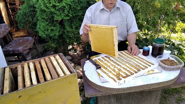 Прополис  Как пчеловод и пчёлы собирают прополис