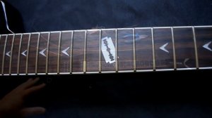 Первый осмотр гитары с Тарагоны!