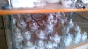 Россия Семикаракорск "Аксинья" Семикаракорская керамика магазин декабрь 2014