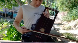 Моя первая Тальхарпа/Смычковая Лира