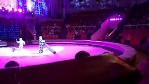 Луганск цирк январь 2017 Клоуны с булавой и мухой
