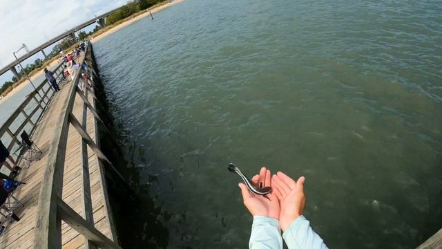 Fishing Gloucester Point Pier | York River VA (Red Drum, Trout, Bluefish, Spot, Crab, Sand Perch) смотреть онлайн