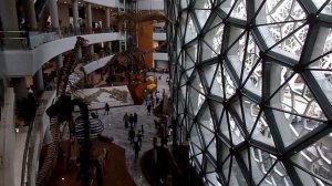 Shanghai Natural History Museum