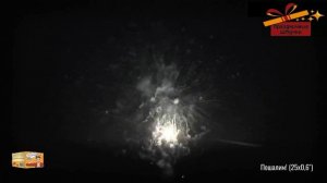 СП0802501 Пошалим!