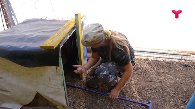 Сельский Бизнес #1  Солобоево