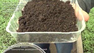 АТ451 грунт ИП Ткаченко А.С. для рассады рецепт весенний зимний вермикомпост биогумус ат451