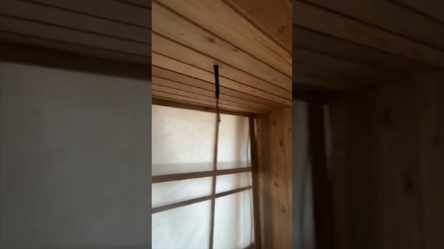 Вагонка из лиственницы в Мойке | каркасная баня #строительство #ремонт #баня #вагонка #каркасная