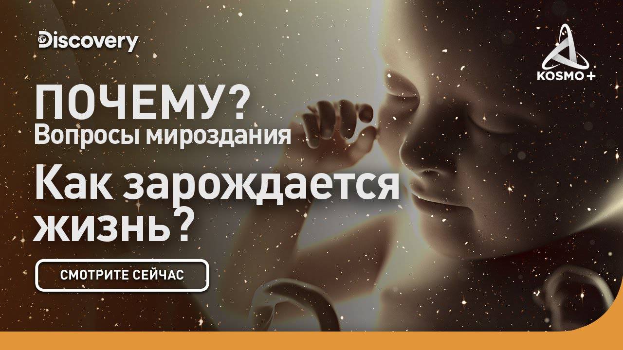 ПОЧЕМУ? ВОПРОСЫ МИРОЗДАНИЯ: КАК ЗАРОЖДАЕТСЯ ЖИЗНЬ | DISCOVERY