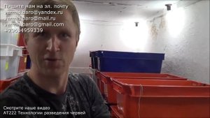 АТ372 Черви в САЛЕ или САЛО в Червях