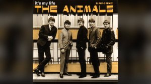 The Animals - it's my life ( Dj ray-g remix)