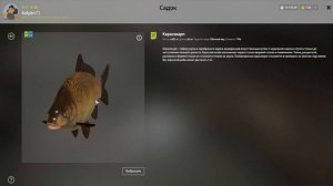 МЕДНОЕ НАЧАЛО РАЗДАВАТЬ СИНИХ ТРОФЕЕВ! МЕГА ФАРМ И КУЧА ТРОФОВ НА ПАЛТУС РУССКАЯ РЫБАЛКА 4 РР4