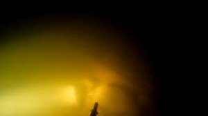 Открытие сезона подводной охоты 2022! Не одна из рыб не пострадала. Стерлядь. ))