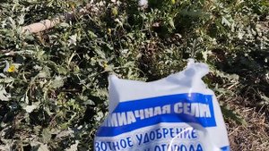 #9. Посадка инжира, смородины и т. д. Ямы для винограда.