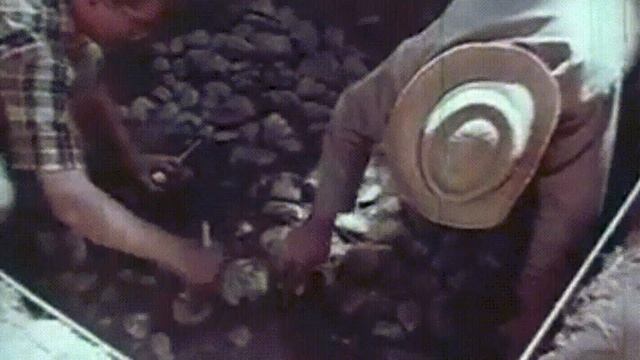 The Titanosaur  and the SCIENCE of LUCK with VSAUCE2 Hyper History Google Arts  Culture