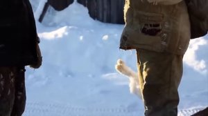 Ролик: Жизнь на чужбине