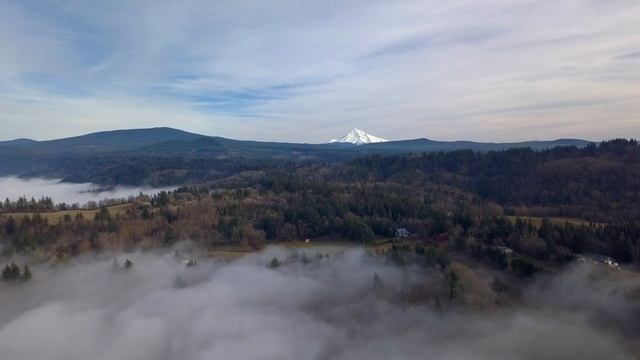 Dramatic Classical Opera Act Background Music/Classical Music For Study, Relaxing, Reading смотреть онлайн