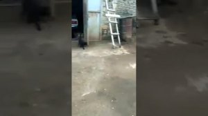 гражданин СССР против электрика