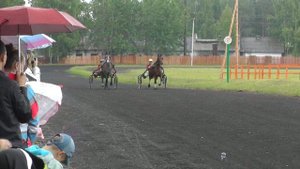 Хорошевский коневодческий комплекс