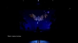 Светская хроника