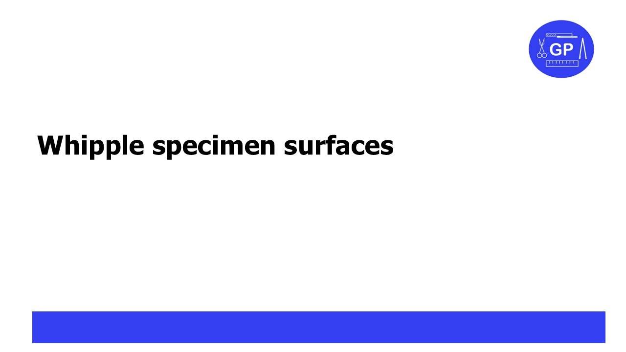 Whipple specimen surfaces