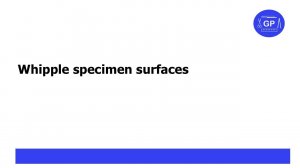 Whipple specimen surfaces