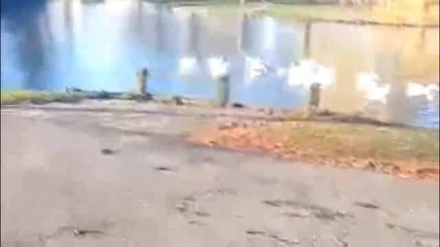 Herinnering aan Holland - H. Marsman смотреть онлайн