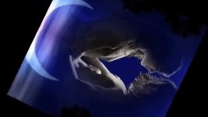 Сплетение судеб