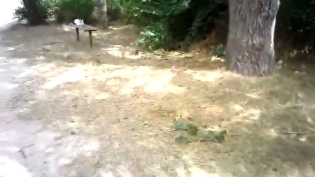 Ураган в Анапе 27 июня 2011 смотреть онлайн