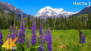 Beauty of Canadian Nature - 4K Relaxation Film - Mountains, Lakes, Forests & Waterfalls - Part #7.1