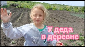 У деда в деревне