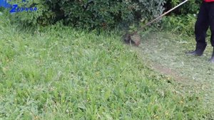 Дешевая леска для триммера из Светофора: Испытание на прочность