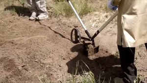 Работа плоскорезом от АО "Судогодское РТП"