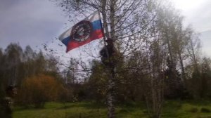Кедры