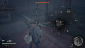 "Days Gone: Уничтожение орды "чемулта" (без пота)