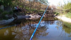 Отличная рыбалка на искусственном пруду. Пруд своими руками