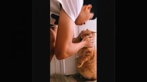 #CatLove  #Cat #Love