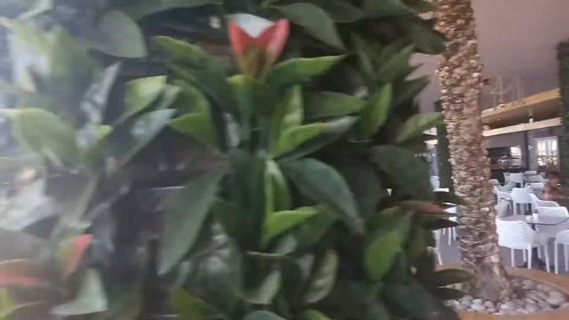 Отдых в Турции RUBI HOTEL 5* | Анталия | Алания | Кемер | Белек | Бодрум | Мармарис