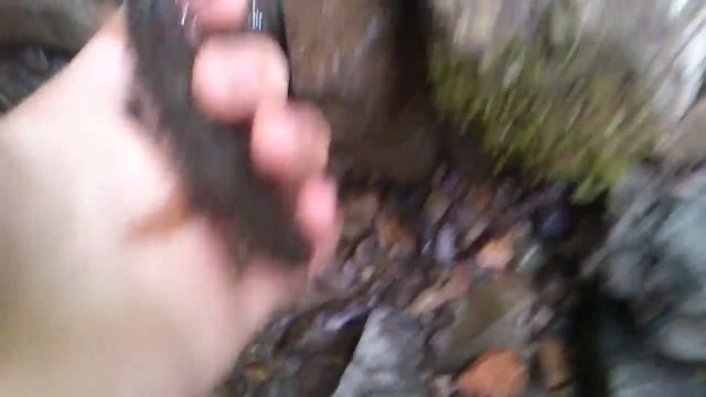 ручьевая форель в осетии