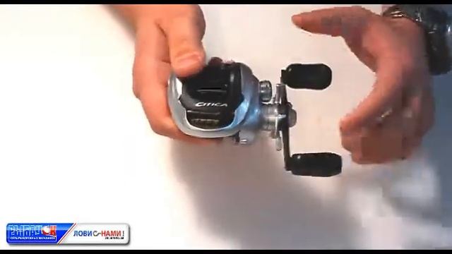 citica.avi смотреть онлайн