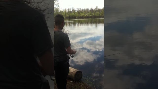 наноджиг смотреть онлайн