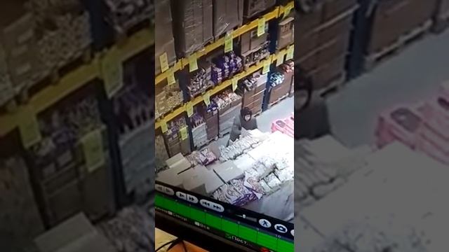 Светофор Стародуб