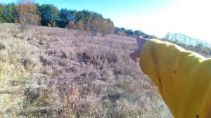 Коп металлом 2 Октября 2024 г, Траки и металл со свалки