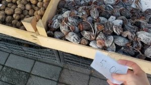 ЦЕНЫ НА ФРУКТЫ В БАТУМИ! ГРУЗИНСКИЕ СВЕЖИЕ ФРУКТЫ! ФРУКТОВЫЙ БАЗАР БАТУМИ