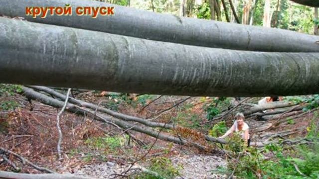 Воловец