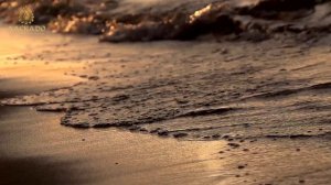 Марка THALASSO BRETAGNE (Воронеж) в спа-сети "Ласкадо" флюид-гоммаж "солевой" 🌊🌊🌊️