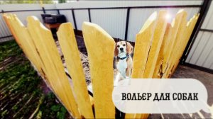 Сделали недорогой вольер для собак