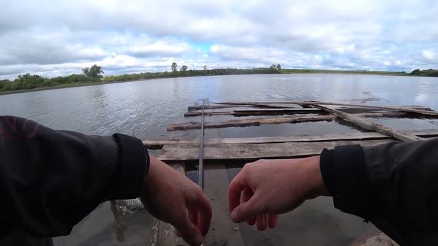 Ловля карпа на Поплавок. После этого я стал Уважать мирную РЫБУ. смотреть онлайн
